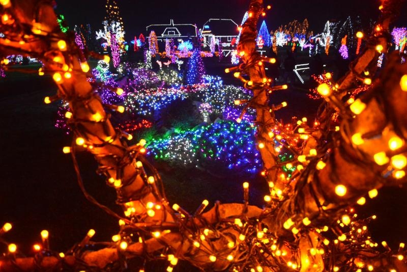 Božićna priča obitelji Salaj s rekordnih 1,88 milijuna lampica. Foto: Damir Špehar/PIXSELL