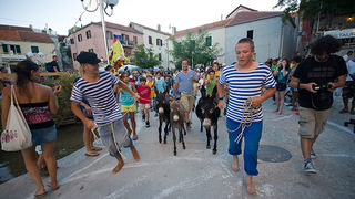 51. Saljske užance, 8. kolovoza 2010. (foto:Saša Čuka)