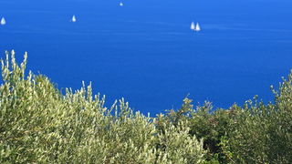 Dugi otok, 260609.
Dugi otok je jedva 1,5 sat udaljen od Zadra, jedan je od skrivenih Jadransih bisera. Sa raznolikom prirodom i plazama, cistim morem, on je namjenjen gostima koji vise cijene prirodu od zabave.
Na slici: detalj sa sjevernog djela Dugog O