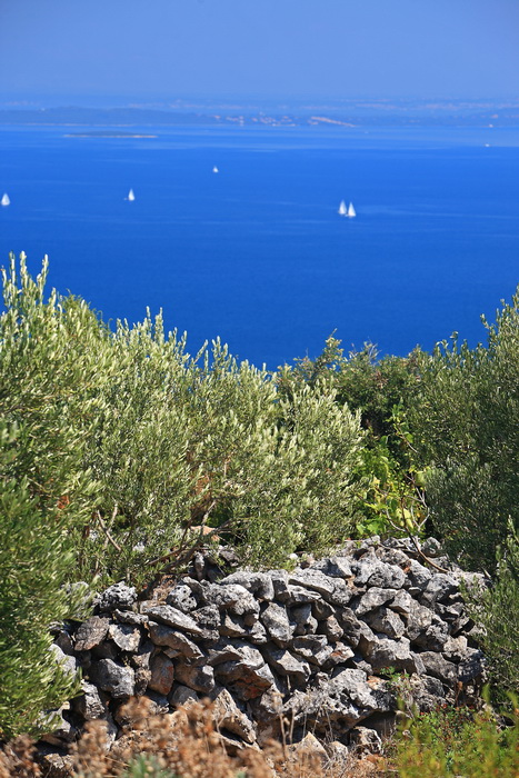 Dugi otok, 260609.
Dugi otok je jedva 1,5 sat udaljen od Zadra, jedan je od skrivenih Jadransih bisera. Sa raznolikom prirodom i plazama, cistim morem, on je namjenjen gostima koji vise cijene prirodu od zabave.
Na slici: detalj sa sjevernog djela Dugog O