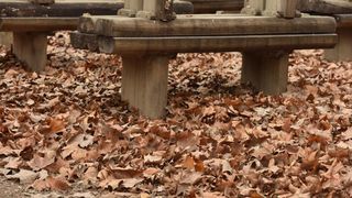 Skradinski buk – Jesenska idila u Nacionalnom parku Krka. Photo: Hrvoje Jelavic/PIXSELL Skradinski buk – Jesenska idila u Nacionalnom parku Krka. Photo: Hrvoje Jelavic/PIXSELL