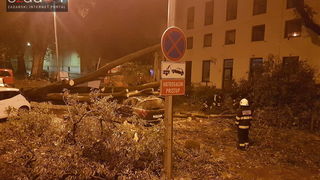 Jak vjetar srušio stablo na parkirane automobile kod OŠ Petar Preradović na Poluotoku