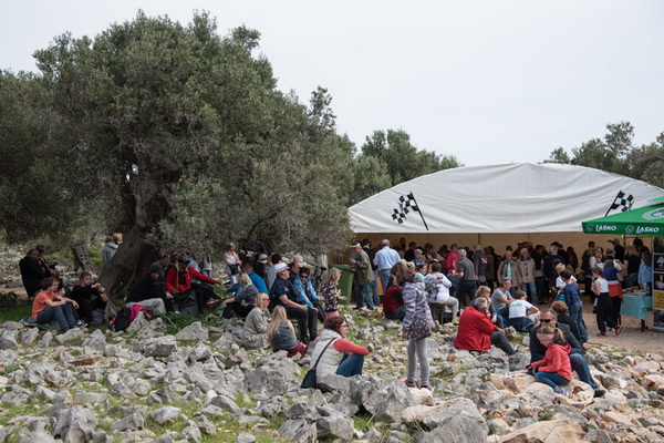 U Vrtovima lunjskih maslina održana 12. Lunjska maslinada. Foto: Vinko Pešić