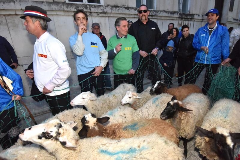 Poznata zadarska skupina Bleke i Konji na karnevalskoj povorci pojavila se sa stadom ovaca koje su doveli na sredisnji gradski trg. Clanovi skupine bili su obuceni u majice hrvatskih politickih stranaka koje su medjusobno izmjenjivali uz domoljubne pjesme