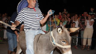 Sukosan: 40. Trka tovarov “Memorijal kenje Vijole” i 6. Noc svicarenja 8. kolovoza 2010. Sukosan: 40. Trka tovarov “Memorijal kenje Vijole” i 6. Noc svicarenja 8. kolovoza 2010.