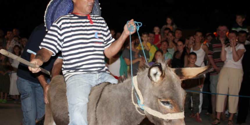 Sukosan: 40. Trka tovarov “Memorijal kenje Vijole” i 6. Noc svicarenja 8. kolovoza 2010. Sukosan: 40. Trka tovarov “Memorijal kenje Vijole” i 6. Noc svicarenja 8. kolovoza 2010.