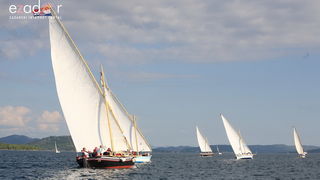 Murter: 22. regata Latinsko idro