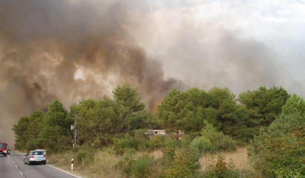 Požar na Bokanjcu, 15. kolovoza 2008.