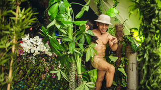 Papaya, Zrće: Barrakud festival