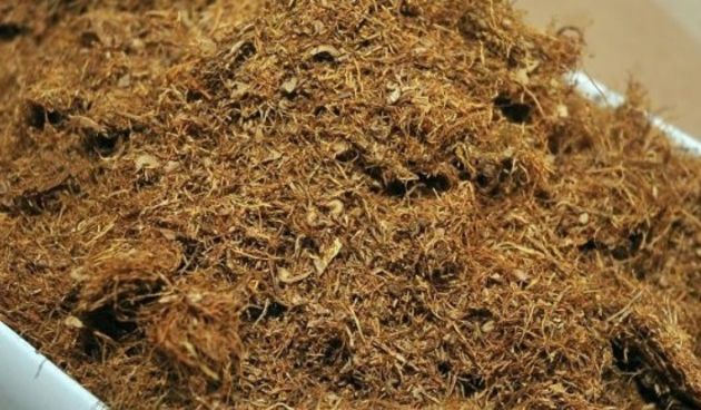 Duhan, foto: virovitica.info