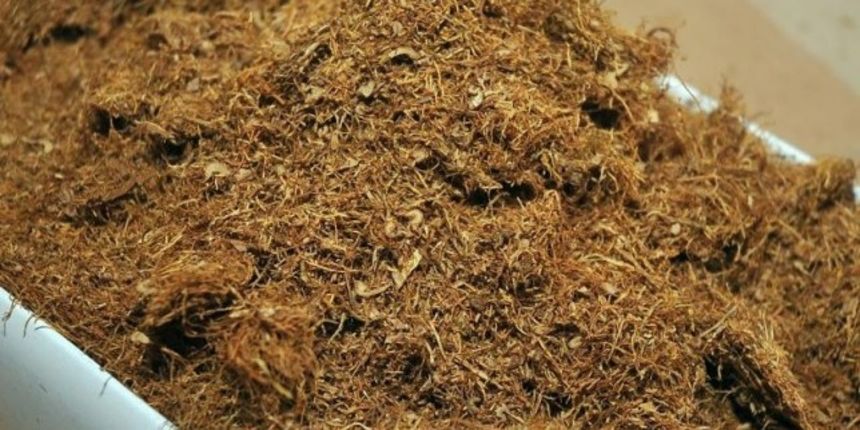 Duhan, foto: virovitica.info