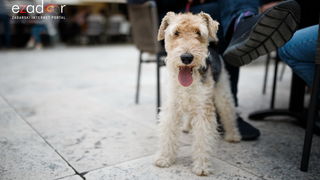 Đir po gradu, subotnja špica 13. travnja 2019. Đir po gradu, subotnja špica 13. travnja 2019.