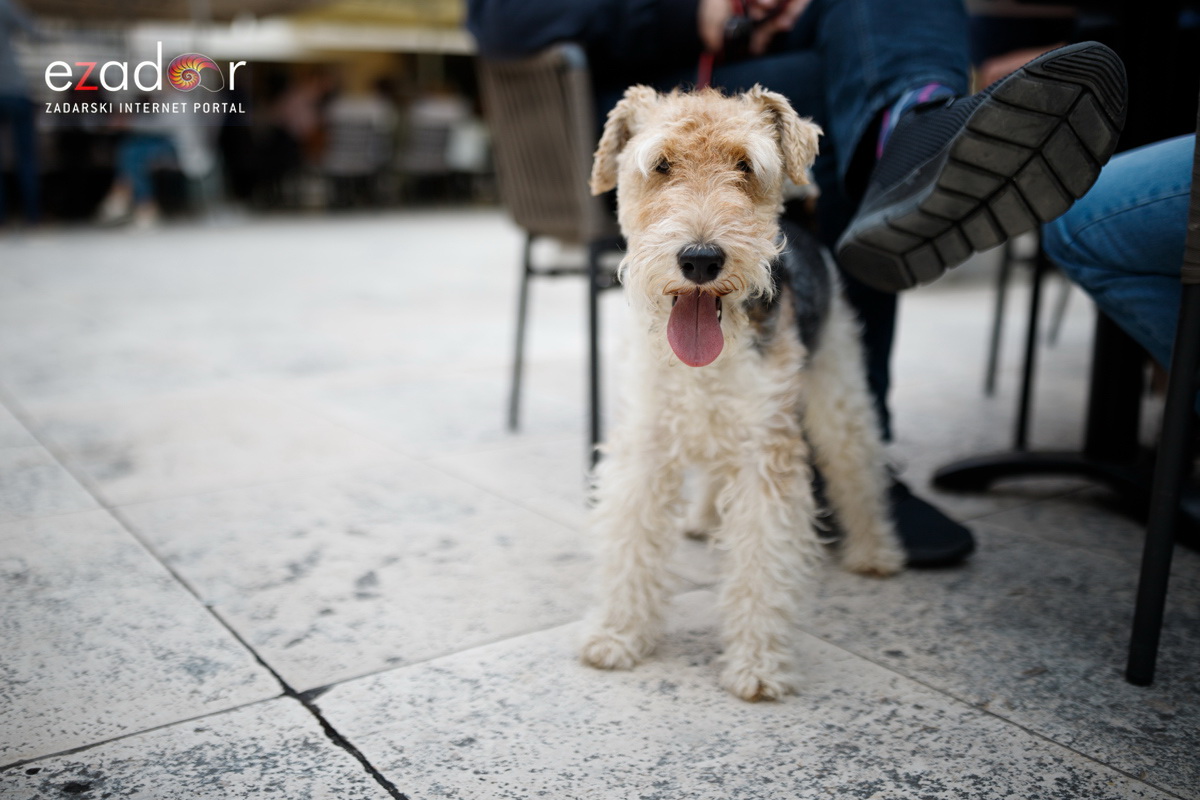 Đir po gradu, subotnja špica 13. travnja 2019. Đir po gradu, subotnja špica 13. travnja 2019.