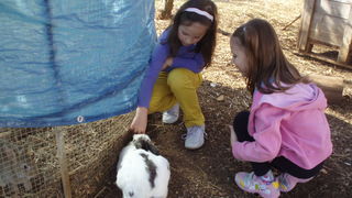 OLYMPUS DIGITAL CAMERA OLYMPUS DIGITAL CAMERA