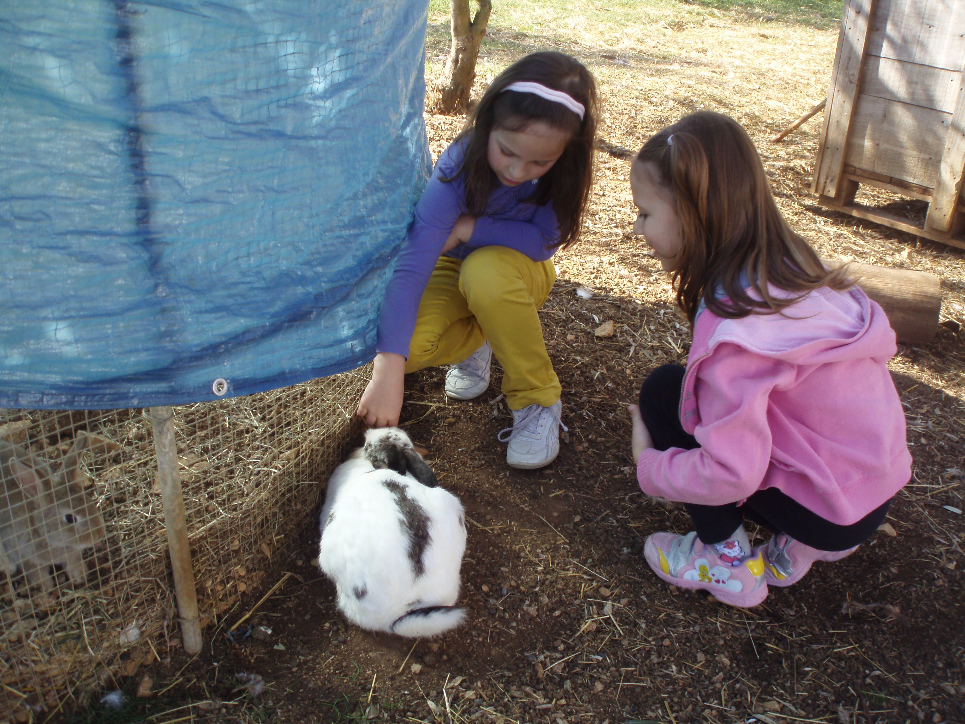 OLYMPUS DIGITAL CAMERA OLYMPUS DIGITAL CAMERA