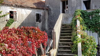 Boje zadarske jeseni. Foto: Mladen Malik