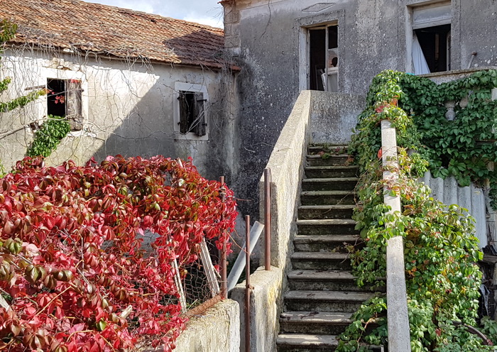Boje zadarske jeseni. Foto: Mladen Malik
