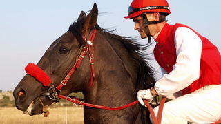 Polaca, utrke konja Oluja 95 Polaca, utrke konja Oluja 95