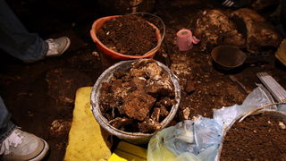 Zadar, 060712.
Predstavljanje novih arheoloskih nalaza iz spilje neandertalaca iz srednjeg paleolitika. Spilja se nalazi u kanjonu ispod utvrde Klicevica u blizini Benkovca. Arheolozi su pronasli ostatke alata kojima su se sluzili neandertalci prije 40 ti