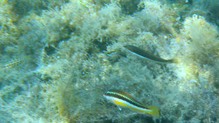 OLYMPUS DIGITAL CAMERA OLYMPUS DIGITAL CAMERA