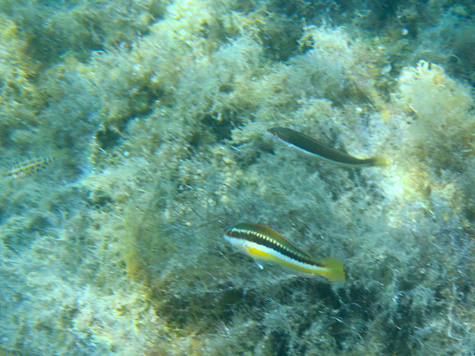 OLYMPUS DIGITAL CAMERA OLYMPUS DIGITAL CAMERA