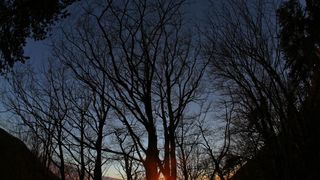 16.03.2014., Juzni Velebit – Topljenje snijega na Juznom Velebitu i procvjetani prvi planinski cvjetovi u ranom proljecu najavljuju skorasnje toplije vrijeme. Photo: Filip Brala/PIXSELL Autor Filip Brala/PIXSELL Ključne riječi rekreacija, planina, pro 16.03.2014., Juzni Velebit – Topljenje snijega na Juznom Velebitu i procvjetani prvi planinski cvjetovi u ranom proljecu najavljuju skorasnje toplije vrijeme. Photo: Filip Brala/PIXSELL Autor Filip Brala/PIXSELL Ključne riječi rekreacija, planina, pro