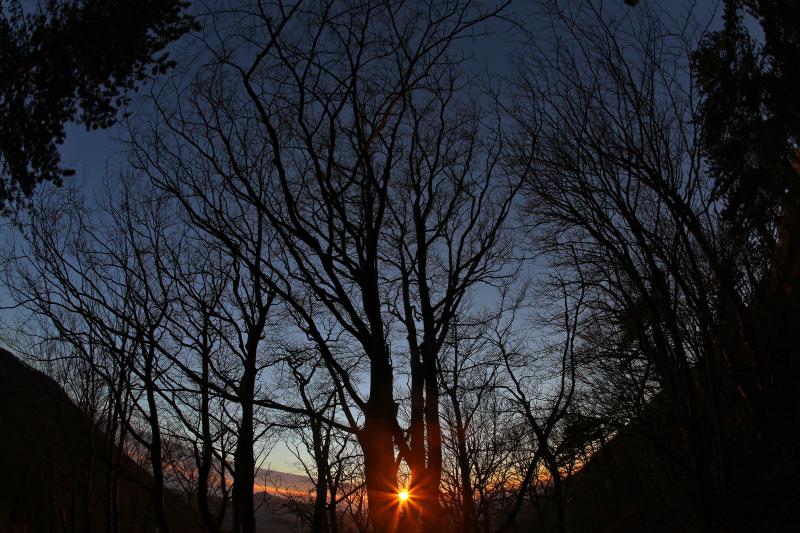 16.03.2014., Juzni Velebit – Topljenje snijega na Juznom Velebitu i procvjetani prvi planinski cvjetovi u ranom proljecu najavljuju skorasnje toplije vrijeme. Photo: Filip Brala/PIXSELL Autor Filip Brala/PIXSELL Ključne riječi rekreacija, planina, pro 16.03.2014., Juzni Velebit – Topljenje snijega na Juznom Velebitu i procvjetani prvi planinski cvjetovi u ranom proljecu najavljuju skorasnje toplije vrijeme. Photo: Filip Brala/PIXSELL Autor Filip Brala/PIXSELL Ključne riječi rekreacija, planina, pro