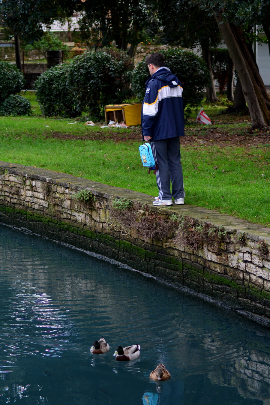 Đir 17. prosinca – uvala Maestral, Foto: Iva Perinčić