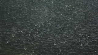 Grmljavinsko nevrijeme s obilnom kišom u Zadru 12. prosinca, Foto: Mladen Malik