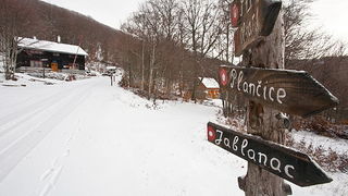 Đir do vrha Zečjak na sjevernom Velebitu, Foto: Leo Banić