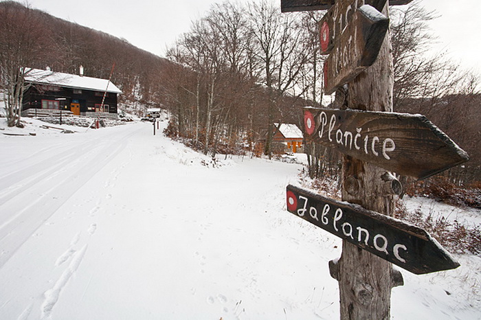 Đir do vrha Zečjak na sjevernom Velebitu, Foto: Leo Banić