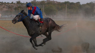 Polača: 14. Međunarodne konjičke utrke “Oluja 95”, Foto: Leo Banić Polača: 14. Međunarodne konjičke utrke “Oluja 95”, Foto: Leo Banić