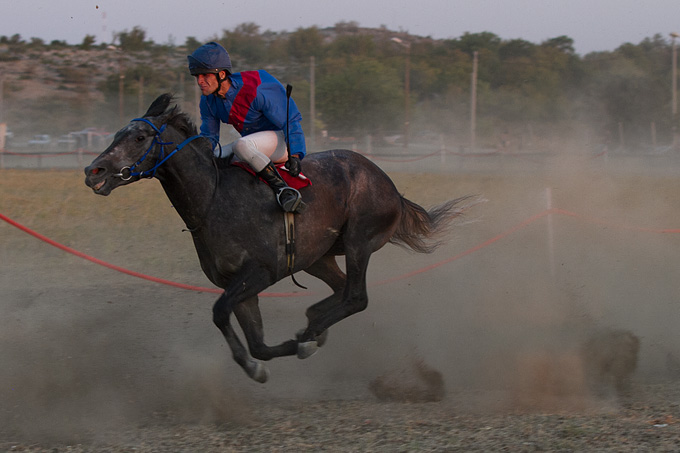 Polača: 14. Međunarodne konjičke utrke “Oluja 95”, Foto: Leo Banić Polača: 14. Međunarodne konjičke utrke “Oluja 95”, Foto: Leo Banić