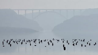 Magla promijenila uobičajene prizore grada i okolice, Foto: Leonard Kvarantan Magla promijenila uobičajene prizore grada i okolice, Foto: Leonard Kvarantan
