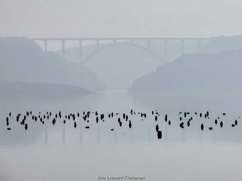Magla promijenila uobičajene prizore grada i okolice, Foto: Leonard Kvarantan Magla promijenila uobičajene prizore grada i okolice, Foto: Leonard Kvarantan