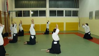 Aikido, seminar Alesa Leskovseka u AK Donat