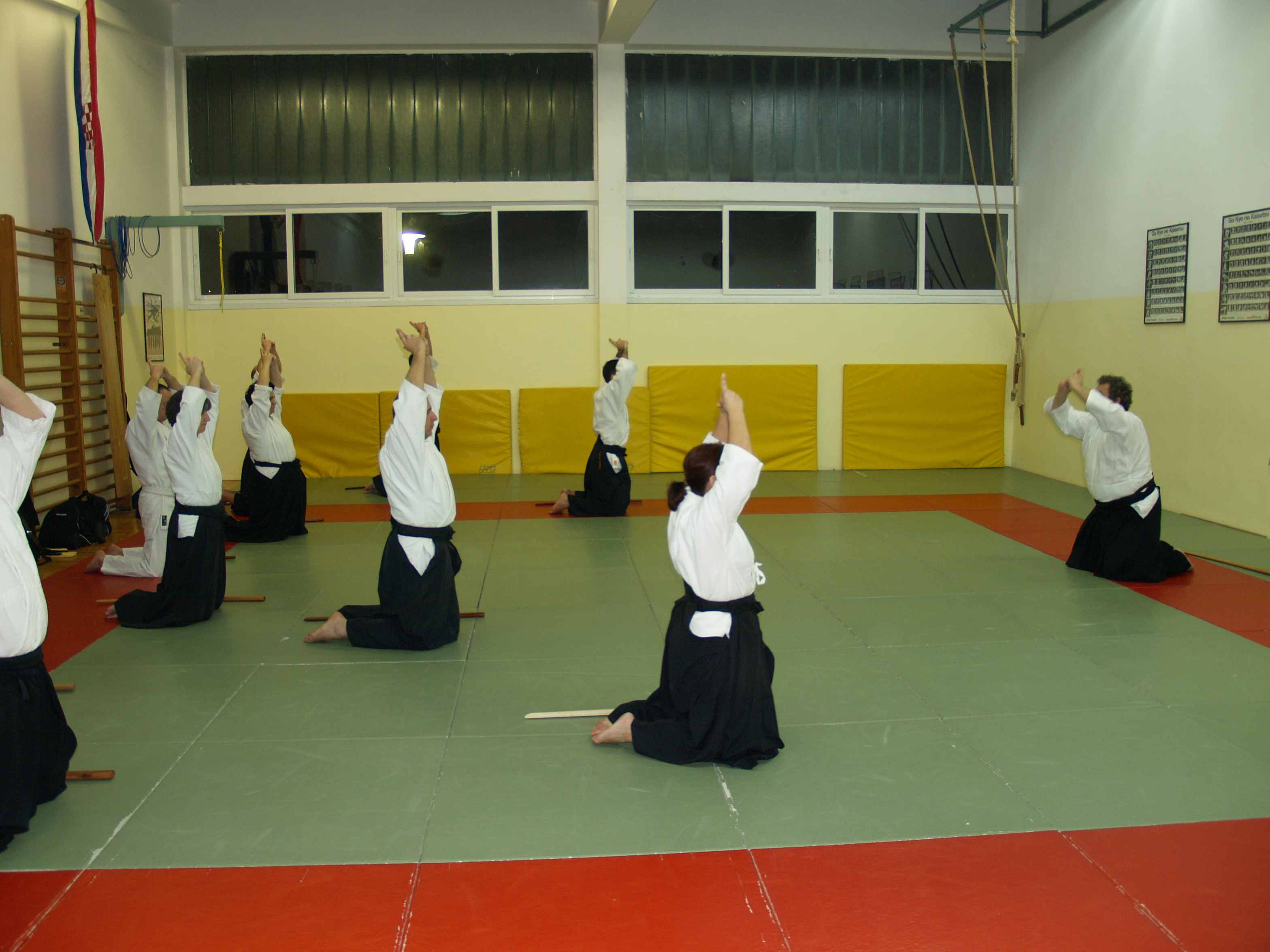 Aikido, seminar Alesa Leskovseka u AK Donat