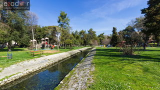 Đir po gradu 3. ožujka 2017.