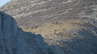 Đir do Libinja 9. travnja 2012. (foto:Saša Čuka) Đir do Libinja 9. travnja 2012. (foto:Saša Čuka)