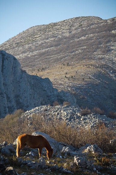 Đir do Libinja 9. travnja 2012. (foto:Saša Čuka) Đir do Libinja 9. travnja 2012. (foto:Saša Čuka)