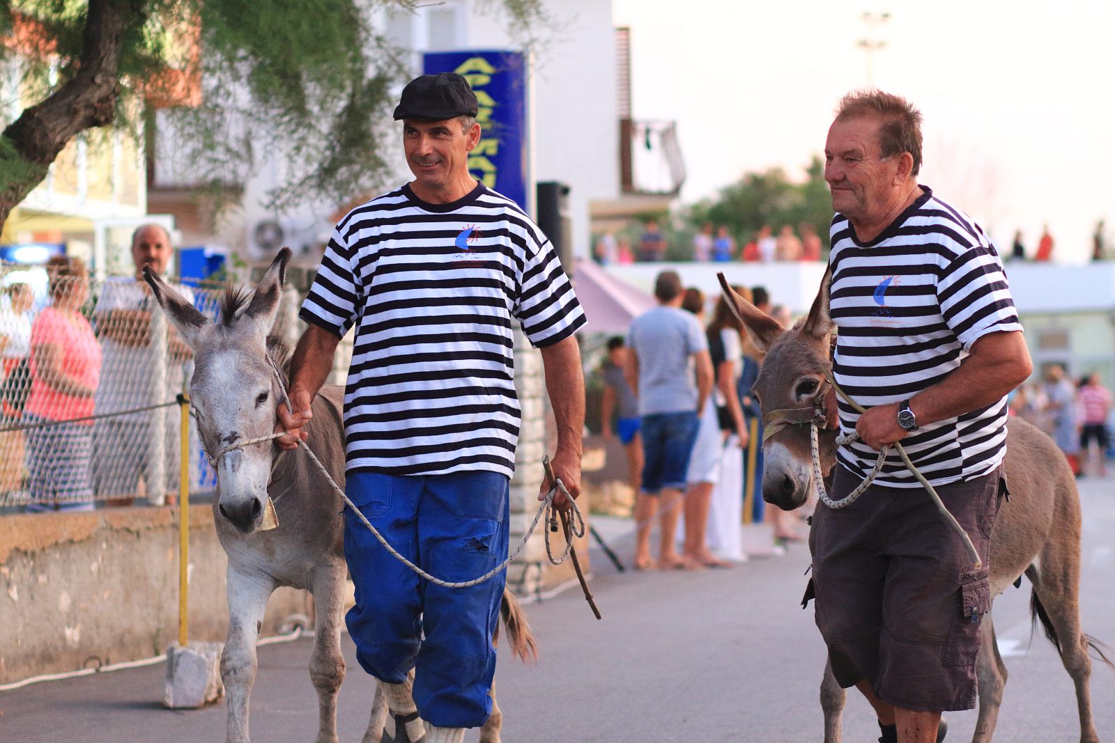 Trka Tovarov – 48. Memorijal Kenje Vijole Sukošan  Photo: Leo Banić