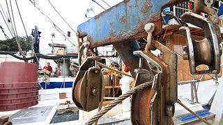 Ribarice u zadarskoj luci, Foto: Leo Banić