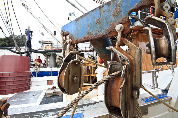 Ribarice u zadarskoj luci, Foto: Leo Banić