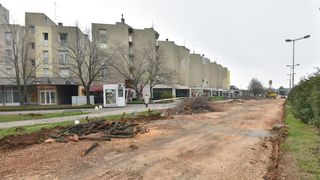 Na Bulevaru posječena stabla lipe stara 40 godina