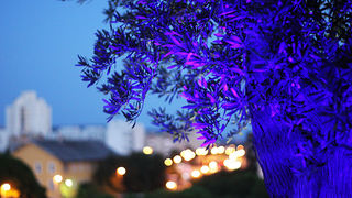 Otvorenje terase Callista Bara Otvorenje terase Callista Bara