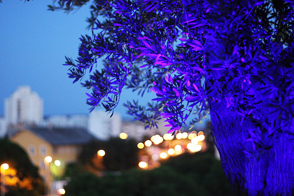 Otvorenje terase Callista Bara Otvorenje terase Callista Bara