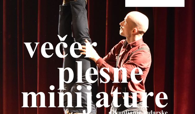 Večer plesne minijature u Kneževoj palači