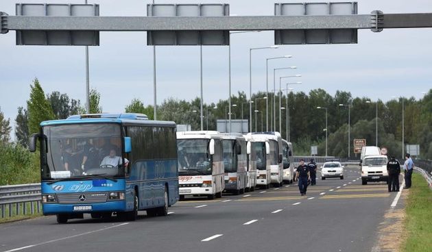 Autobusi s izbjeglicama na Hrvatsko-Madjarskoj granici. Photo: Vjeran Zganec-Rogulja/PIXSELL