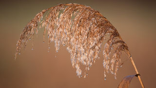 Čarobno jutro na Vranskom jezeru Čarobno jutro na Vranskom jezeru