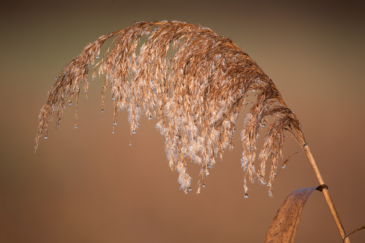 Čarobno jutro na Vranskom jezeru Čarobno jutro na Vranskom jezeru